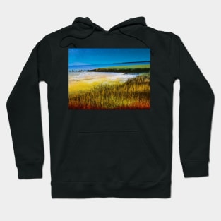 Charleston coast Hoodie